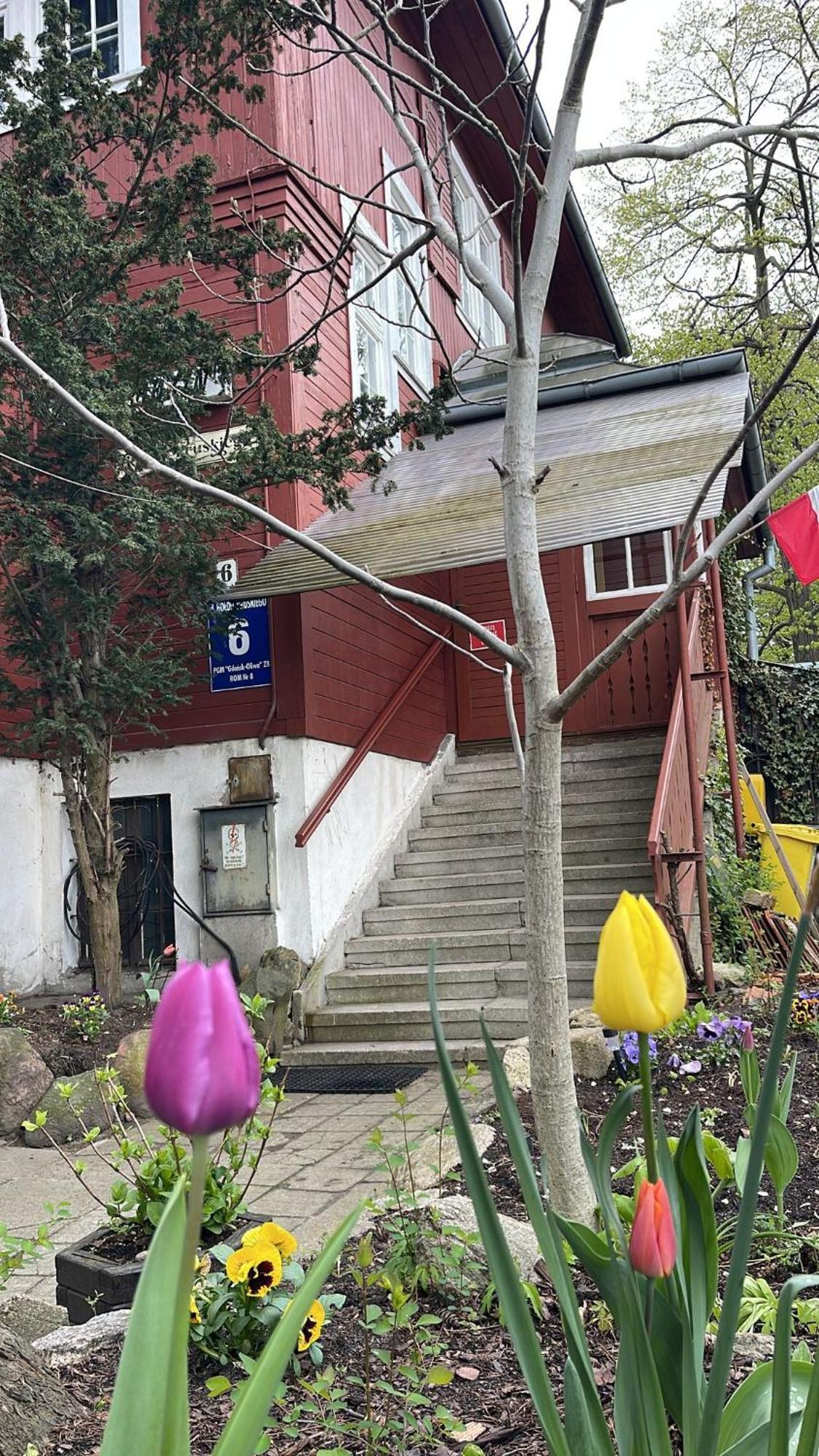 Villa Rekin Gdaňsk Exteriér fotografie